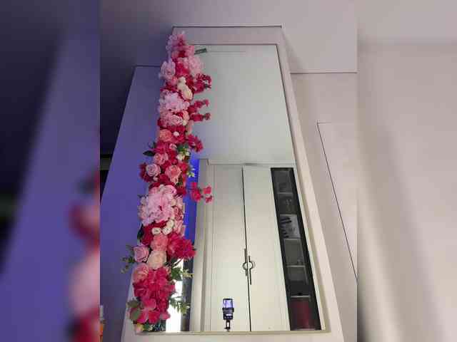 Adel9 webcam