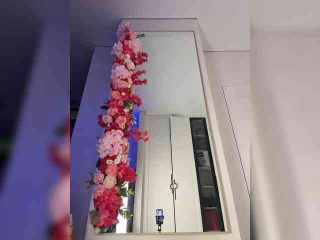 Adel9 webcam