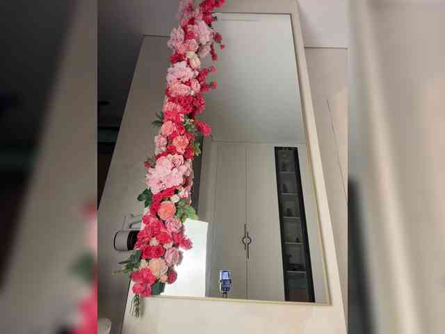 Adel9 webcam