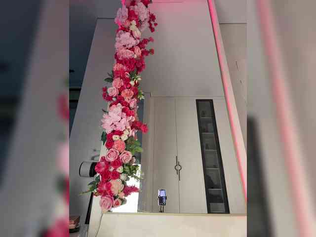 Adel9 webcam
