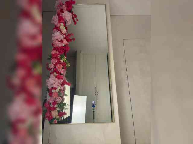 Adel9 webcam