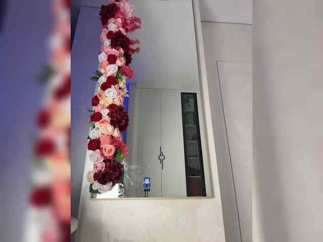 Adel9 webcam