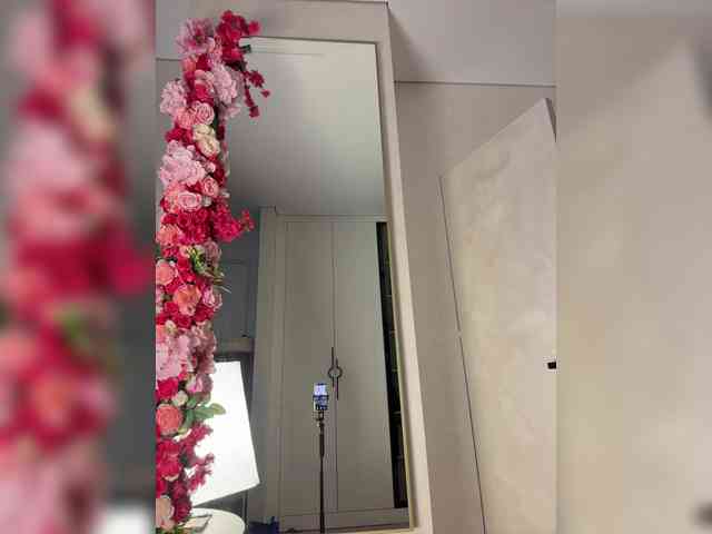 Adel9 webcam