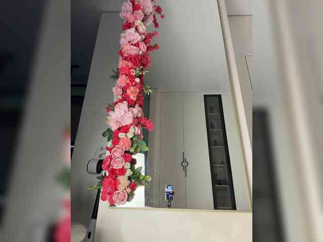 Adel9 webcam