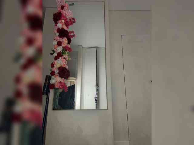 Adel9 webcam