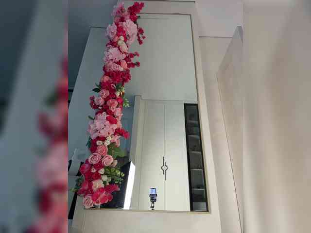 Adel9 webcam