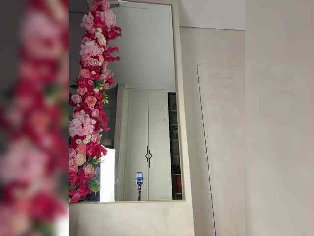 Adel9 webcam