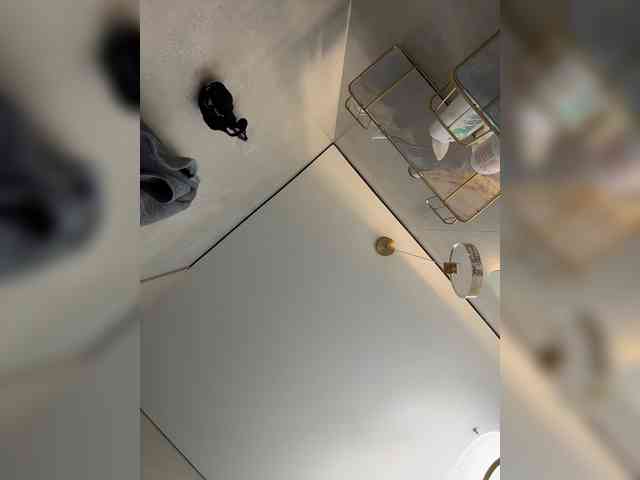 Adel9 webcam