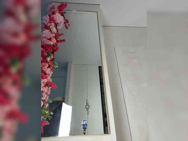 Adel9 webcam