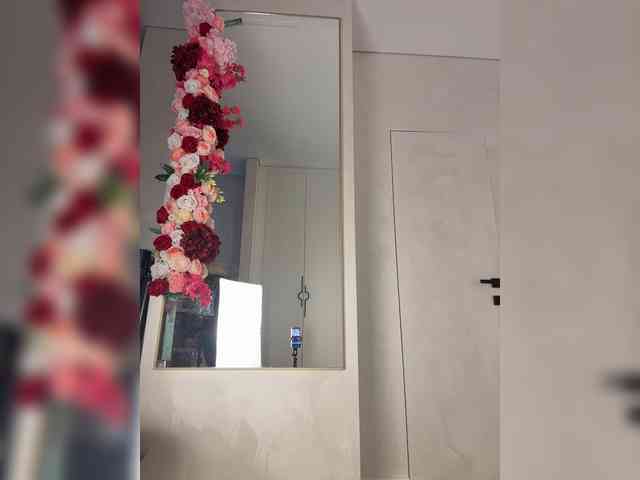 Adel9 webcam