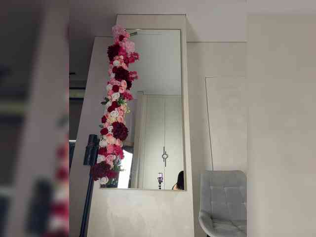 Adel9 webcam