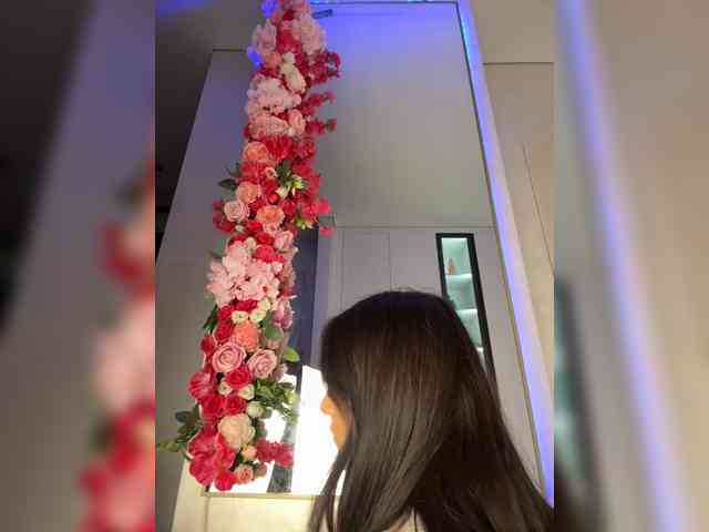 Adel9 webcam