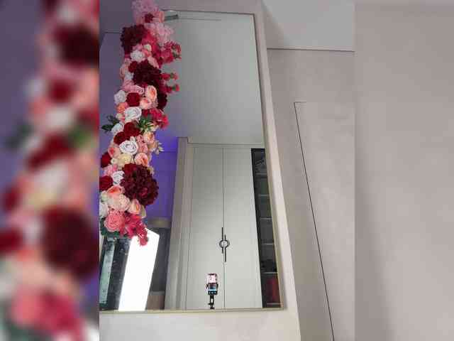 Adel9 webcam