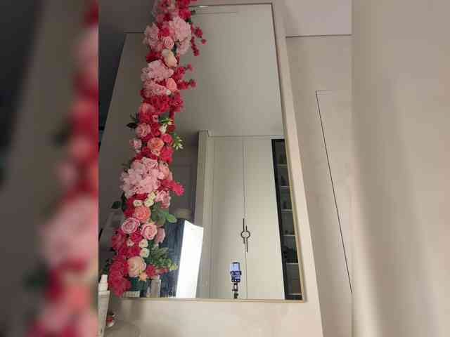Adel9 webcam
