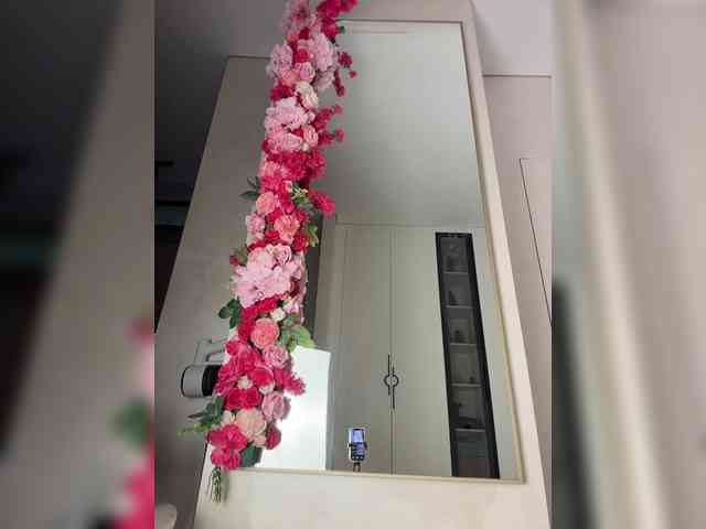 Adel9 webcam