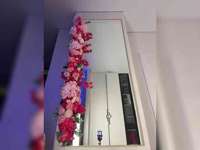 Adel9 webcam