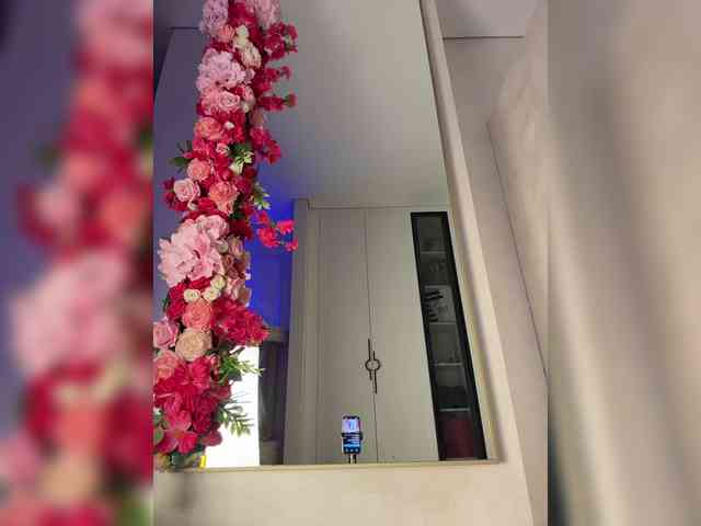 Adel9 webcam