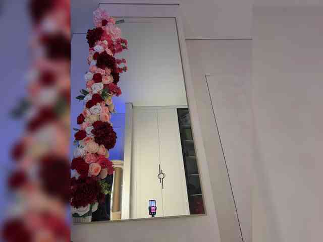 Adel9 webcam