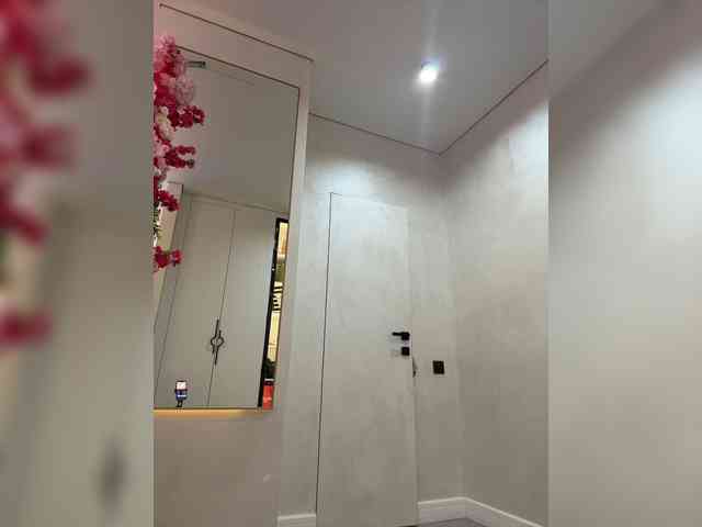 Adel9 webcam