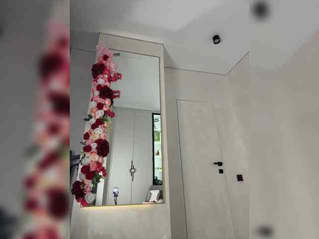 Adel9 webcam