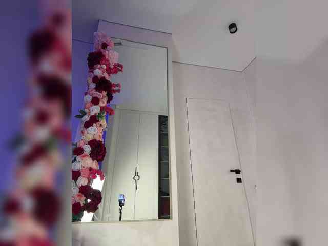 Adel9 webcam