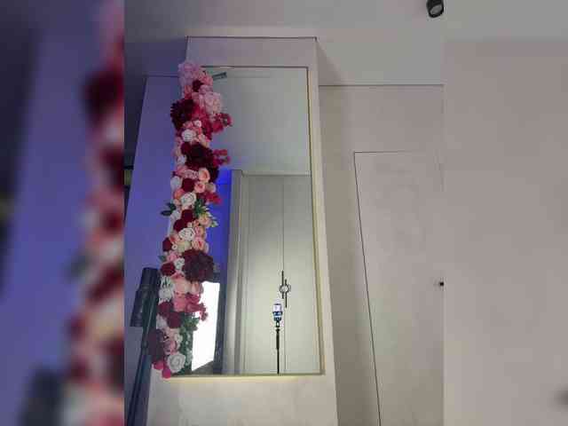 Adel9 webcam