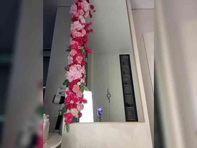 Adel9 webcam