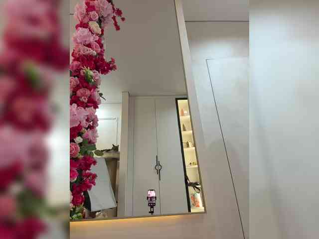 Adel9 webcam