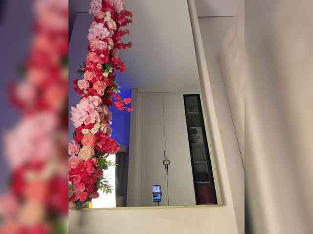 Adel9 webcam