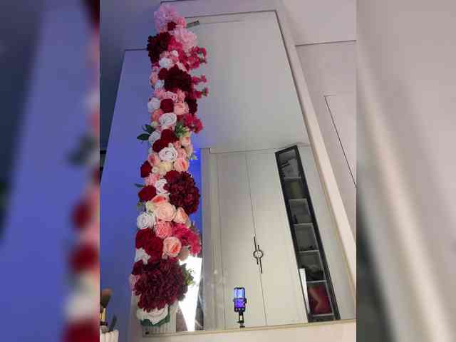Adel9 webcam