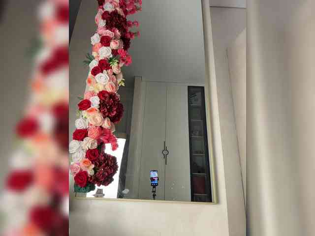 Adel9 webcam