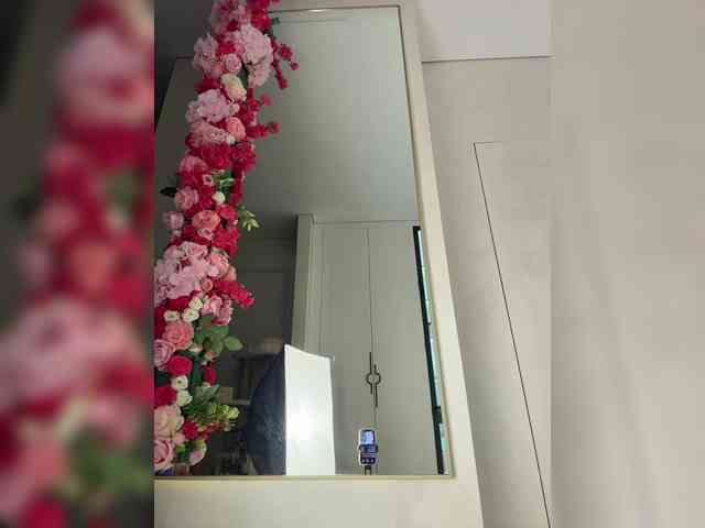 Adel9 webcam