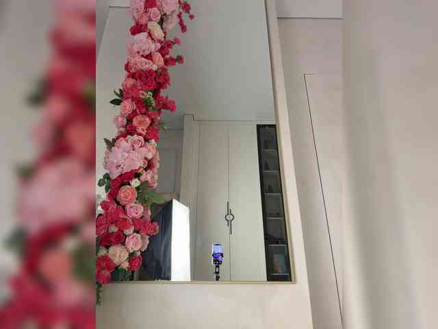 Adel9 webcam