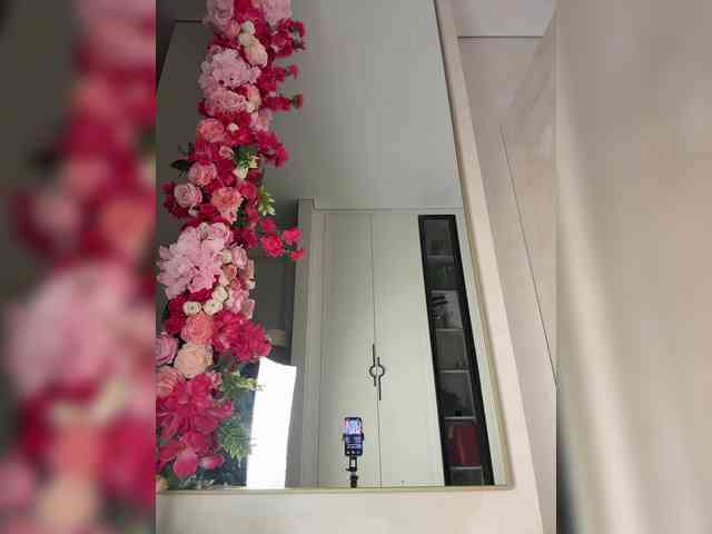 Adel9 webcam