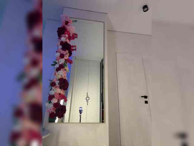 Adel9 webcam