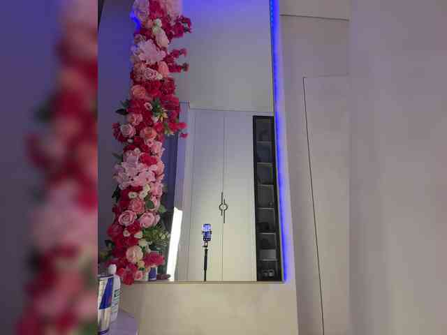 Adel9 webcam