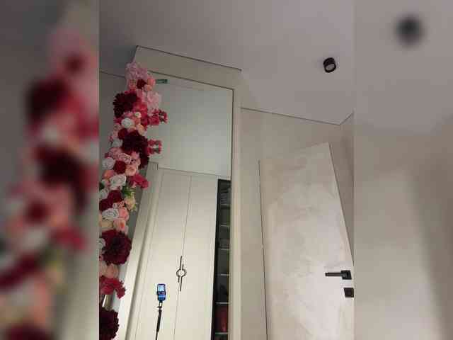 Adel9 webcam