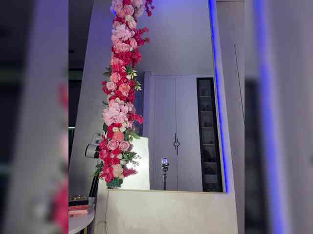 Adel9 webcam