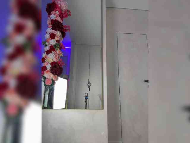 Adel9 webcam