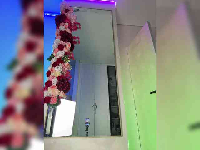 Adel9 webcam