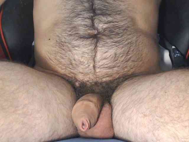 LapijARG Live Webcam on BongaCams