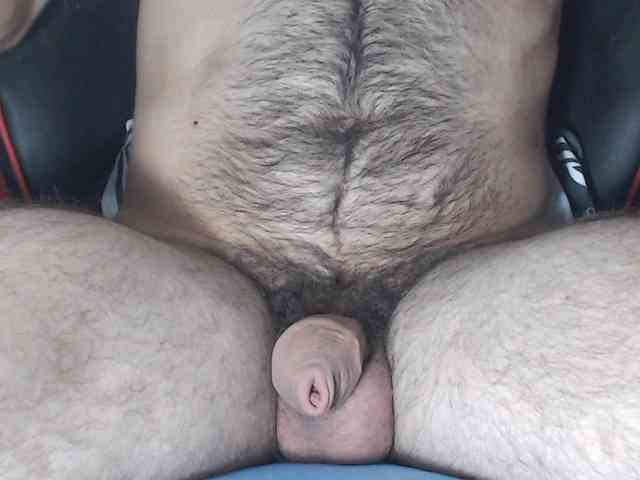LapijARG Live Webcam on BongaCams