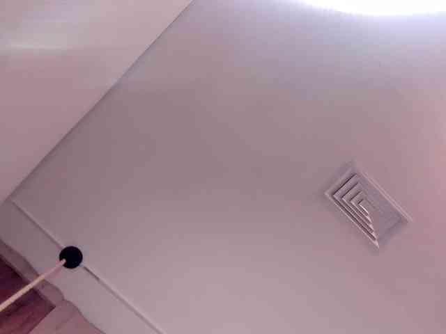 Malu webcam