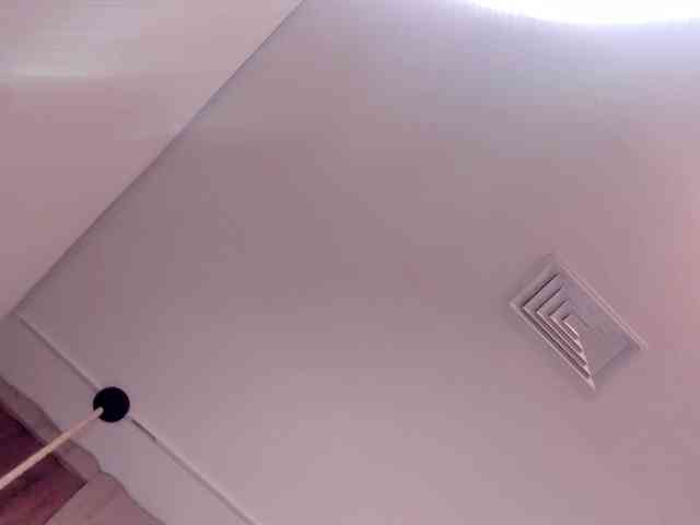 Malu webcam