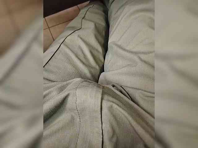 Sed1a Sed1a