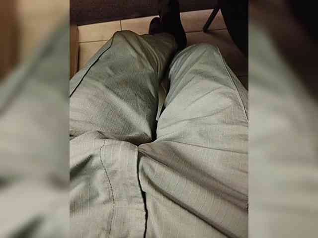 Sed1a Sed1a