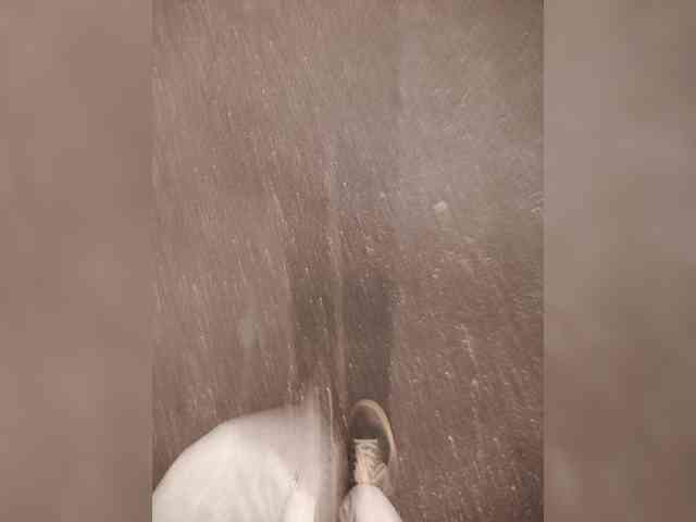 Sed1a