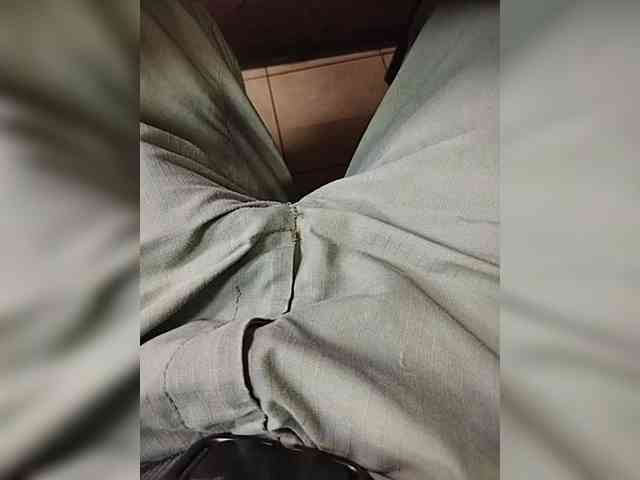 Sed1a Sed1a