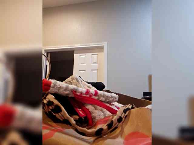 Blaze_Onn webcam