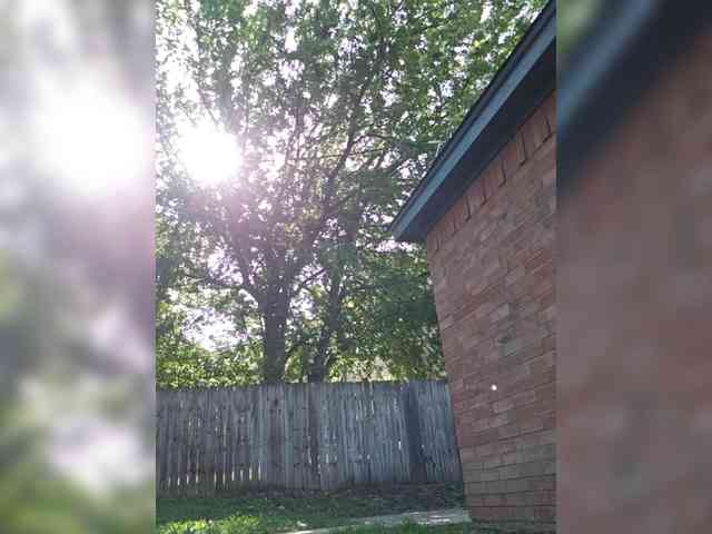 Blaze_Onn1 webcam